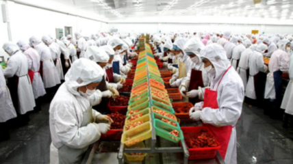 德炎水產(chǎn)食品股份有限公司簡(jiǎn)介